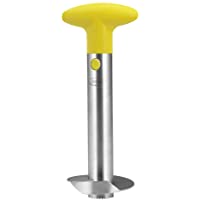 Newness Cortador de Piña de Acero Inoxidable-pelador de piña- Herramienta para el hogar y la Cocina con Cuchilla Afilada…